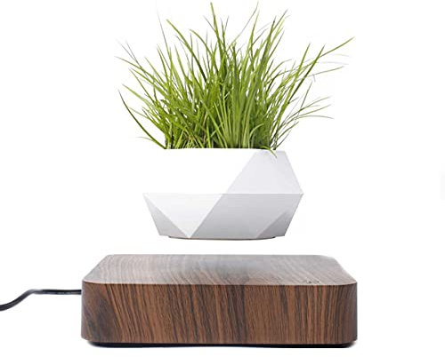 BANNESE Levitación Magnética Aire Bonsai Creativos Rotación Planta En Maceta Flotante Maceta Bonsái De Aire Levitante, para Hogar Decoraciones Escritorio Regalos,Dark Wood Grain