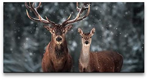 Paul Sinus Leinwandbild 120x60cm Hirsch Hirschgeweih Wald Schnee schöne Tiere Natur