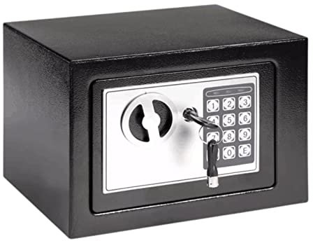 Coffre-fort en acier de 6,6 Litres - Mot de Passe électronique, Coffre-fort de Bureau à domicile Pour Argent Liquide, Bijoux, Documents et Autres Objets de Valeur (23 x 17 x 17 cm)