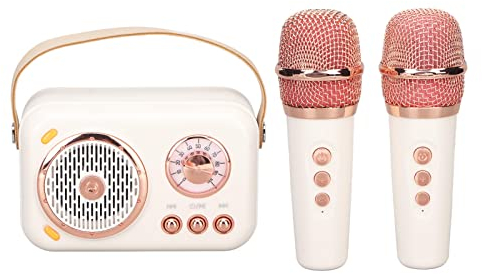 BT Karaoke Maschine für Erwachsene und Kinder, Tragbares PA Lautsprechersystem mit Verbessertem Bass, 6 Modi, Mikrofon, Vollfrequenzlautsprecher