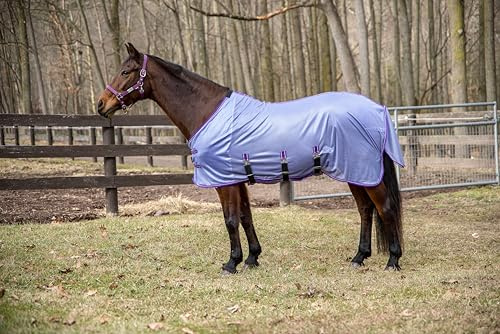 TuffRider Comfy Plus Standard Neck Fly Sheet- Purple with Deep Purple Trim- 81