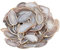 mookaitedecor 12 Stück Natürliche Geode Achat Scheiben, unregelmäßige poliert Achat Edelsteine Namen Karten für Hochzeit
