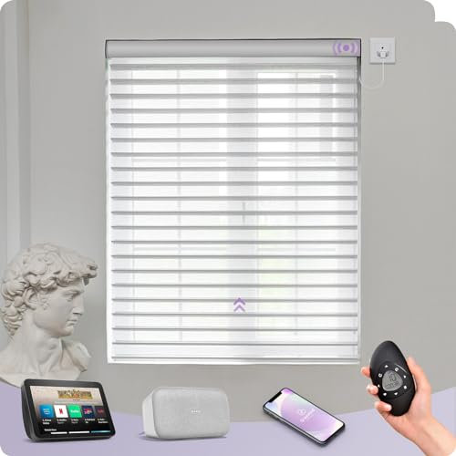 Graywind Customized Smart Shangrila Blinds with WiFi Hardwired Motor, Light Filtering Electric Roller Blinds With Remote Control, Privacy Motorised Shades Compatible Alexa Google, Jacquard White