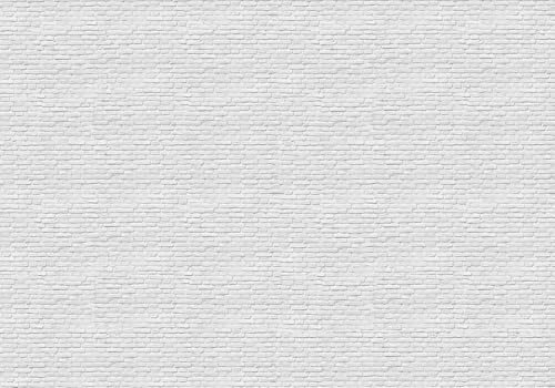 Luowenji Papier Peint Panoramique Mur de Briques Blanches 300x210 cm 3D Papier Peint Intissé Rétro Photo Trompe l'oeil Poster Geant Mural Salon Chambre Enfant Chambre Décoration Murale a.116