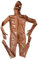 Generisch Braun,4XL, Männer Sexy Spiegel PVC Freizeit Alles Inklusive Reißverschluss Eng Overall Nachtclub DS Bühne Kleidung