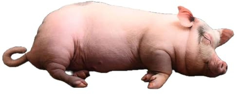 Realistisch Schwein PlüSch PlüSchtier, Weiche Spielzeugpuppe Kissen (40cm)