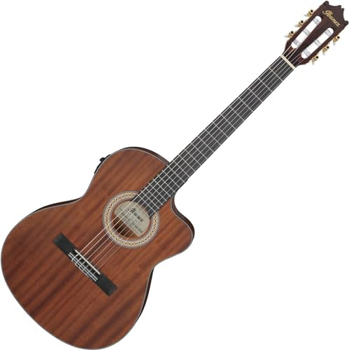 Ibanez Acoustic Guitar / GA5MHTCEOPN Standard