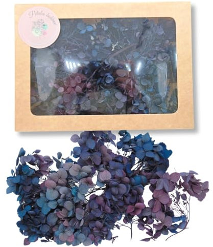 Vrai Hortensia stabilisé et préservé éternel - Fleurs Naturelle séchée et préservée en Petit Brin Bouquet pour décoration Mariage, Artisanat, DIY Bougies Bijoux résine epoxy (Noir bleuté)