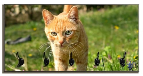 Wallario Wandgarderobe aus Holz in Größe 80 x 40 cm in Premium-Qualität, Motiv: Neugierige Katze im Gras | 5 Kleiderhaken zum Aufhängen