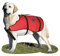 OSCULATI Salvagente Pet Vest 5-10 kg