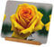 ZhanMg Yellow Rose Personalized Metal Photo Frame â€“ Simple Wall and Tabletop Frame for Precious Moments and Home Decor, 8in, White