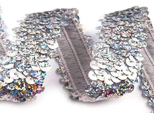 Stretch-Pailletten, Paillettenband, Paillettenborte elastisch, mit Hologramm-Effekt in gold oder silber erhältlich, Breite 30mm, VE: 0,5m (silber)