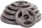 RIP X Full Set of Tri Grip 2 Olympic Weight Plates in Cast Iron - 107.5kg Total
