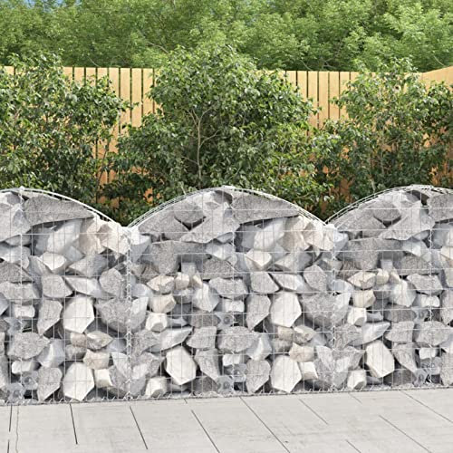 LAPOOH Panier de gabions arqué 100x30x80/100 cm Fer galvanisé,Paniers À Gabions,Paniers À Gabions Arqués