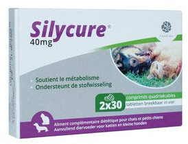 Fendigo Silycure 40 mg - 60 Tabletten