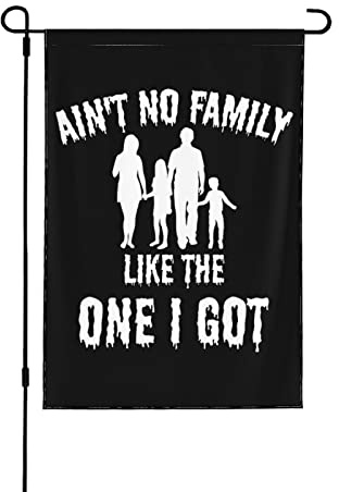 Familienflagge „Ain't No Family Like The One I Got-Flagge „Ain't No Family Like The One I Got-Gartenflaggen Neuartige Gartenflaggen 12 x 18 doppelseitige Hofflagge für draußen