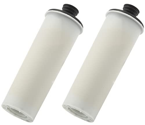 Fuhjythy Steam Cleaner Water Purifier Descaling for SC2 SC3 Clean Water Descaling Filter Premium Upright 2PCS