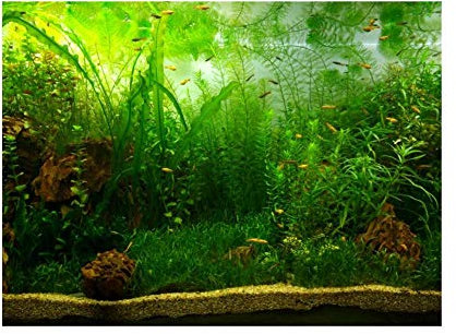 Water Grass Style Aquarium Fish Tank Poster Thicken PVC Adhesive Background Sticker Wallpaper Poster Aquarium Backdrop Decor(61 * 30cm)