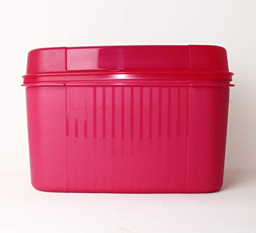 Tupperware® Big-Naschkätze Neue Trendfarbe! Picknig NEU+OVP