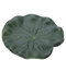 ZJchao Aquarium Plantas Flotantes, Plantas de Estanques Decoración de Estanques 10 Piezas de de Artificiales Adornados Cajas de Pescado Decoración de Paisaje para Jardín de Huerto de Agua del Acuario