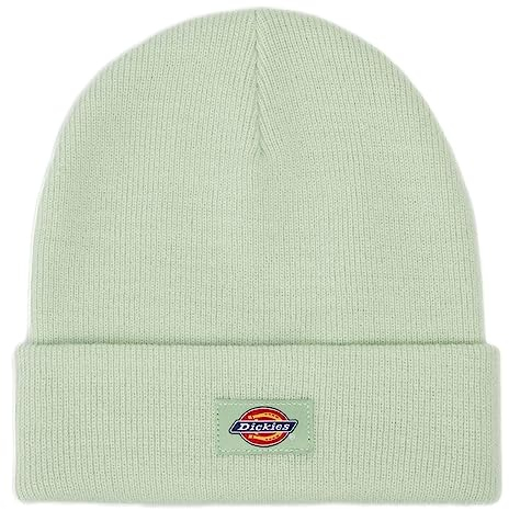Dickies Gibsland Beanie One Size