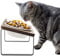 GUUSII HOME Raised Cat Food Bowl Elevated Kitty Dish 2 Ceramic Bowls Dia 14cm Bamboo Stand 15°Tilted Anti Vomiting Indoor Cats Double Dishes Feeding Station Kitten Puppy Easy to Assemble & Clean