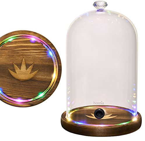 Smoking Gun Accessory LED lights Glass Dome 22.9 cm x 14.5 cm Lid with Wooden Base - Smoke Infuser Cover Lid for Cocktail Smoker - Dome for Cold Smoke, Smoking Cloche for Drinks