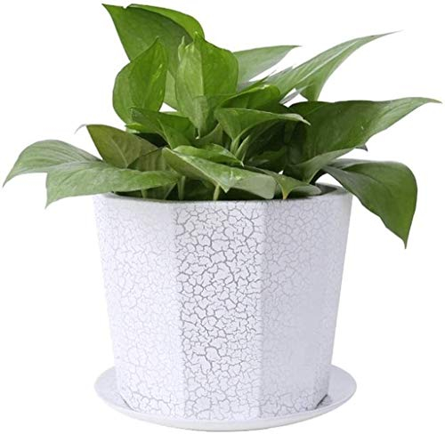 SHALOLY Pflanztöpfe, Keimtöpfe Butler mit einfachen geraden silbernen Keramiktöpfen eignet Sich sehr gut zum Knacken von Topfpflanzen (Color : White) (White)