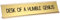 Menkxi Funny Desk Signs for Office Novelty Nameplate Funny Desk Name Plates with Black Base Funny Desk Accessories for Work Coworker Gift Office Home Desk Supply, 10 x 2 Inch (Desk of A Humble Genius)