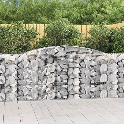 Iiaky Arched Gabion Baskets 20 pcs 400x50x100/120 cm Galvanised Iron,Gabion Wall Mesh Wire Stone Basket Galvanised Iron Stone Basket Outdoor Spiral Planter Retaining Wall