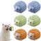 BAIFULAI Katzenminze Ball, 6pcs Katzenminze Spielzeug, Catnip Ball, Katzenminze Wandroller für Katzenlecken, Zahnreinigung Dentales essbares Kätzchenspielzeug mit Aufbewahrungsdeckel(Igel-Typ)