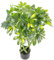 Leaf Design UK Realistic Large Artificial Foliage Plant with Pot, Gold Bonsai