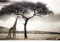 Fototapete mit Tier Motiv in Schwarz Weiß | Vlies Fototapete mit Giraffe und Baum in Afrika Landschaft | Safari Tapete in 3D Optik für Wohnzimmer