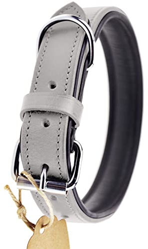 Schnüffelfreunde Halsband für Hunde aus Leder, Hundehalsband für den großen, mittleren und kleinen Hund, Lederhalsband gepolstert, robust (S - 24-30cm, Grau)