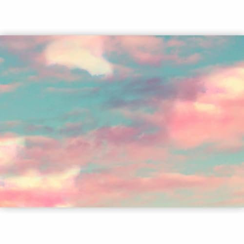 murando - Papier peint panoramique artistique 400x280 cm - Revêtement mural décoration salon - Design moderne - Dopaminehouse tendances nuages ciel paysage nature f-C-0488-a-a