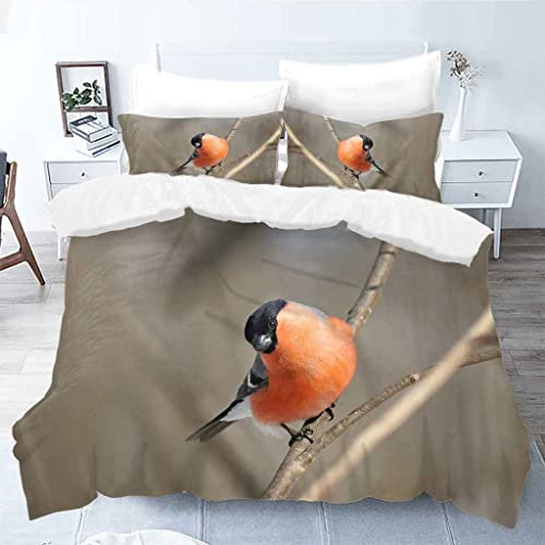MUCXBE Kinder Bettwäsche Set Für Jungen Teenager Mädchen Bettwaren 3D Gedruckt Oranger Tiervogel Soft Mikrofaser Bettbezug 135x200cm Mit Reißverschluss + 2 Kissenbezug 80x80cm