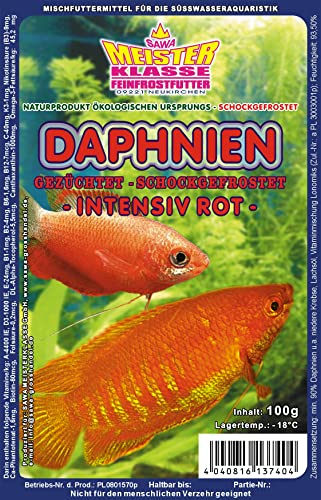 Frostfutter Daphnien intensiv ROT =Wasserflöhe 10 x 100g Blister Fischfutter verpackt mit Trockeneis -78°C, Aquarium, Aquaristik, Fischfutter, Frostfutter