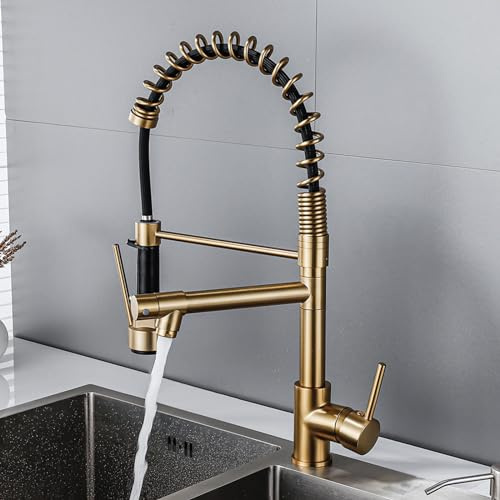 Mitigeur Evier avec Douchette Rotation 360° 2 Sorties D'eau Robinet Cuisine Ressort,Or Brossé