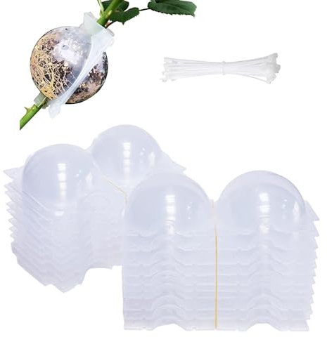 20 Pezzi Germogliatore Semenzaio Grow Box , Radicante per Talee Giardinaggio Grow Box Kit Completo Semenzaio Germinazione Mini Serra Radicante per Piante per Innesti Vassoio Germinazione Scatola