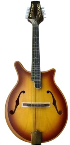 Solid Wood Veneer Mandolin Eight Strings Beginner And Adult Instrument Sturdy Mandolin Kits(Electrical box version)
