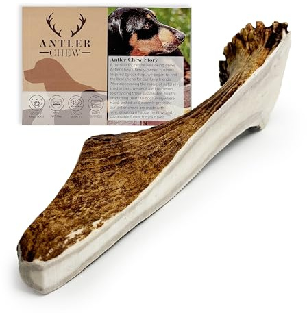 Antler Chew - XL Elk/Moose Split Antler for Dogs (180-240g, from 15cm) Indestructible Toy and Natural, Long-Lasting Treats for Dental Health, Large Dogs, Odorless