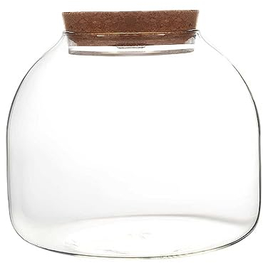 Bouteille en Verre de liège Aquarium Vase Micro Paysage Terrarium Ecosystème Récipient avec couvercles Bouteille en liège Récipient en Verre Terrarium Pots Plantes hydroponiques Récipient