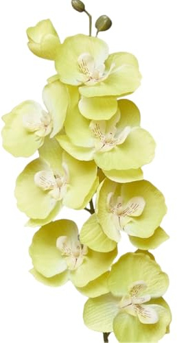 Wambere 2 Stück Künstliche Gefühlsechte Orchidee,Kunstblumen Phalaenopsis-Blumen,68cm,Künstliche Orchideenblumen Kunstpflanze,mit 8 kräftigen Blüten,für Zuhause Büro Hochzeit Dekoration,Gelb