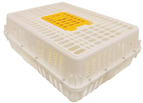 Stromberg's Poultry Transport Crate, Secure Chicken Carrier for Safe Bird Travel and Storage, Ventilated Outdoor Plastic Cage with Hinged Loading Door for 4 to 6 Backyard Chickens or 2-4 Pheasants