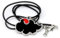Generico Akatsuki Rote Wolke Anhänger Halskette Sonnenaufgang Organisation, 3,5 x 2,2, Metall