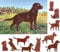 Gartenfigur Hund Labrador 85x61cm Gartenstecker Edelrost Gartendeko Wetterfest Rost Metall Rostfigur Hunde Figur Tier von Steinfigurenwelt