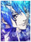 Für Erwachsene, 1000 Teile Holzpuzzle, Heimdekoration, Fairy Tail Jellal Fernande75*50cm