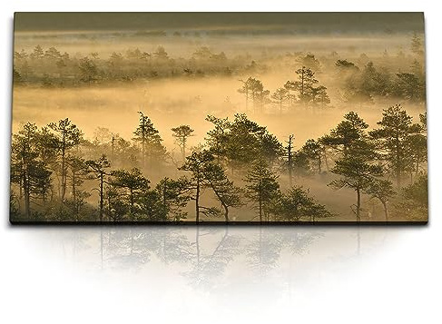 Paul Sinus Wandbild Nebelwald in 120x60cm auf Leinwand – Natur Wandbild, Wald im Nebel, Landschaftsbild Leinwand