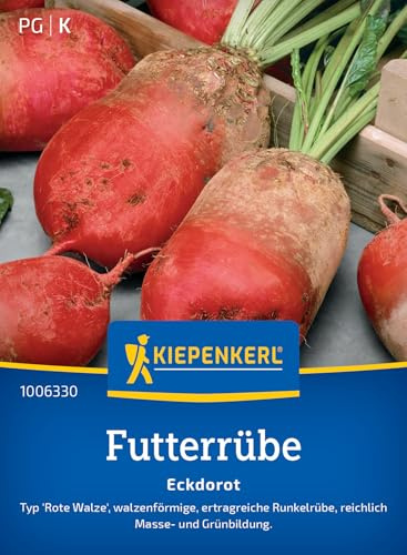 Kiepenkerl Futterrübensamen Eckdorot 1006330, Gemüsesaat | Walzenförmige, ertragreiche Runkelrübe mit Masse- und Grünbildung, Lagerfähig