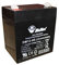 Diamec Batteria al piombo AGM 12 V 4 Ah F1